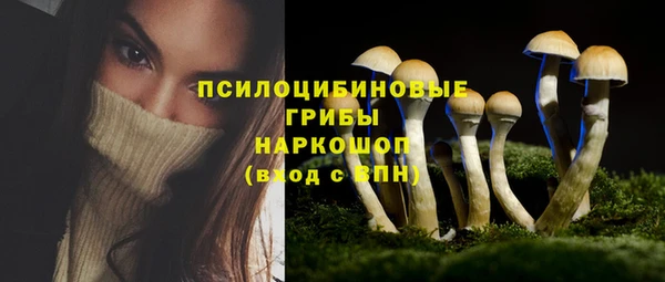 прущие крисы Арсеньев