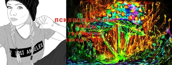 прущие крисы Арсеньев
