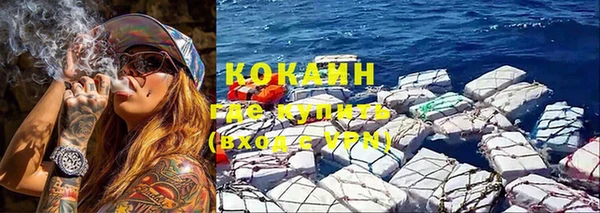 стафф Аркадак