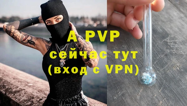 стафф Аркадак