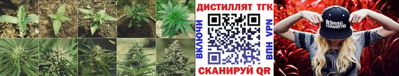 Дистиллят ТГК гашишное масло Лениногорск