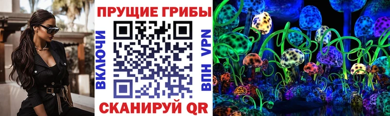 Галлюциногенные грибы Psilocybe shop телеграм Лениногорск